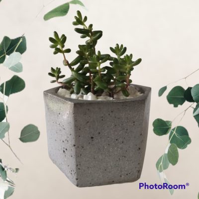 WhatsApp Image 2025-10-23 at 9.25.05 AM